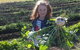 Made In Macarthur Food And Wine Tours - thumb 2