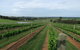 Made In Macarthur Food And Wine Tours - thumb 1