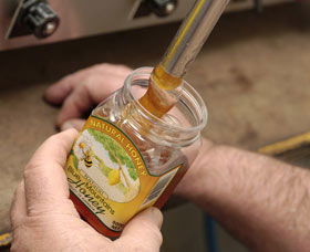 Blue Mountains Honey Company - The Honey Shed - Palm Beach Accommodation 1