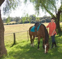 Sugarloaf Horse Centre - Palm Beach Accommodation