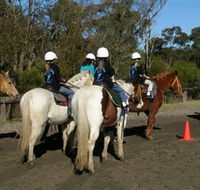 Darkes Forest Riding Ranch - Palm Beach Accommodation