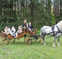 Classic Carriage Drives - Palm Beach Accommodation