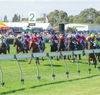 Morphettville Racecourse - Palm Beach Accommodation