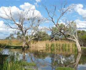 Lagoon Creek - Palm Beach Accommodation 0