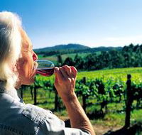 Ashton Hills Vineyard - Palm Beach Accommodation