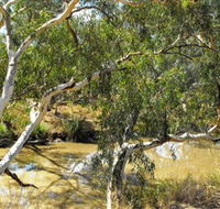 Quilberry Creek Fishing - Palm Beach Accommodation