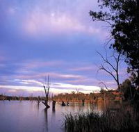 Loch Luna Game Reserve and Moorook Game Reserve - Palm Beach Accommodation