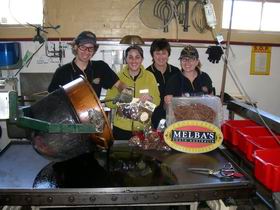 Melba's Chocolate And Confectionery Factory - Palm Beach Accommodation 1