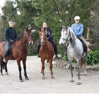 Academy of Dressage - Palm Beach Accommodation