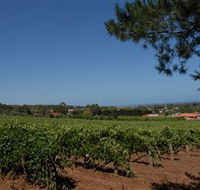 Grancari - Palm Beach Accommodation