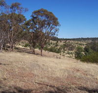 Onkaparinga River National Park - Palm Beach Accommodation