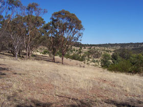 Onkaparinga River National Park - Palm Beach Accommodation 0