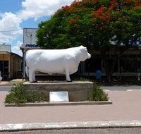 Aramac - The White Bull - Palm Beach Accommodation