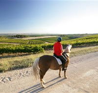 Kidman Trail - Palm Beach Accommodation