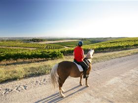 Kidman Trail - Palm Beach Accommodation 0