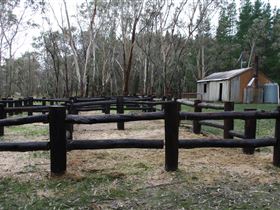 Kidman Trail - Palm Beach Accommodation 2