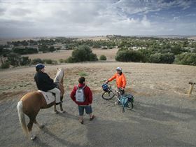 Kidman Trail - Palm Beach Accommodation 3