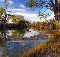 Murray River National Park - Palm Beach Accommodation