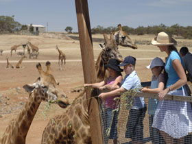 Monarto South SA Palm Beach Accommodation