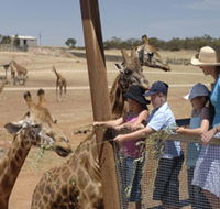Monarto Open Range Zoo - Palm Beach Accommodation