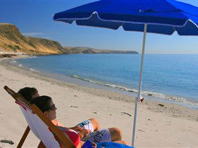 Lady Bay Beach - Palm Beach Accommodation 0
