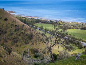 Lady Bay Beach - Palm Beach Accommodation 1