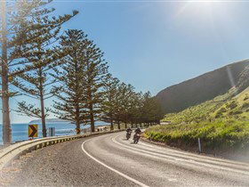 Lady Bay Beach - Palm Beach Accommodation 2