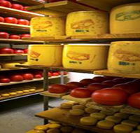 Alexandrina Cheese Company - Palm Beach Accommodation