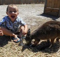 Animal Farm Goolwa - Palm Beach Accommodation