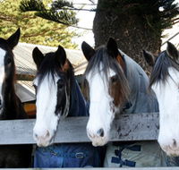 Victor Harbor Horse Drawn Tramway - Palm Beach Accommodation