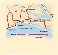 Tourist Drive Route 50 - Palm Beach Accommodation