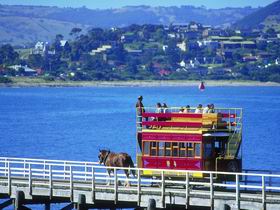 Granite Island Recreation Park - Palm Beach Accommodation 0