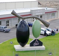 The Big Olive - Palm Beach Accommodation