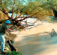 Charleville - Ward River Fishing Spot - Palm Beach Accommodation