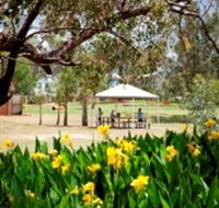 Charleville - Graham Andrews Parklands - Palm Beach Accommodation