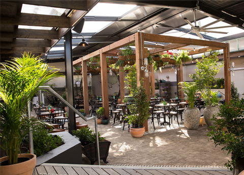 Windsor RSL - Palm Beach Accommodation 4