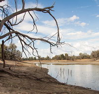 Toorale National Park - Palm Beach Accommodation