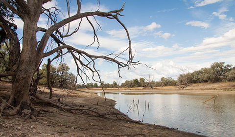 Toorale National Park - Palm Beach Accommodation 0