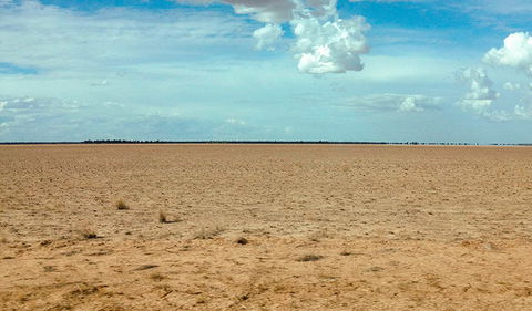 Toorale National Park - Palm Beach Accommodation 1