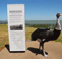 Birdman of the Coorong - Palm Beach Accommodation