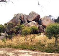 Mount Boothby Conservation Park - Palm Beach Accommodation