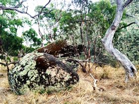 Tolmer Rocks - Palm Beach Accommodation 2