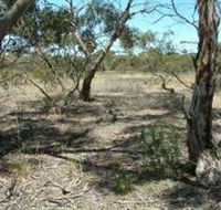Tintinara Walking Trail - Palm Beach Accommodation