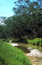 Salvator Rosa Section - Carnarvon National Park - Palm Beach Accommodation 0