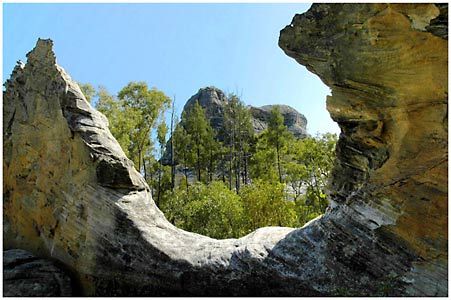 Salvator Rosa Section - Carnarvon National Park - Palm Beach Accommodation 1