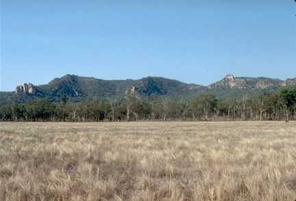 Salvator Rosa Section - Carnarvon National Park - Palm Beach Accommodation 3