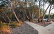 Wallam Creek, Bollon - thumb 3