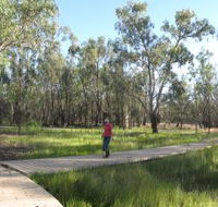 Ben Scott Memorial Bird Trail - Palm Beach Accommodation