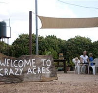Crazy Acres - Palm Beach Accommodation