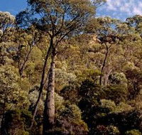Ka Ka Mundi Carnarvon National Park - Palm Beach Accommodation